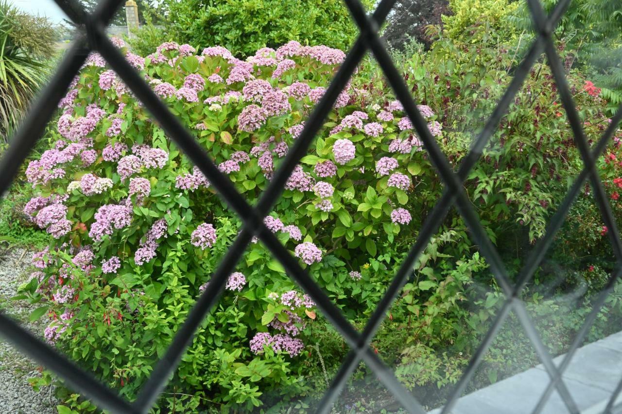 Halwell Lodge St Ives Exteriör bild